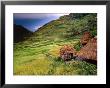 Rainstorm Approaching Huts And Rice Paddies, Batad, Ifugao, Philippines by John Pennock Limited Edition Print