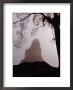 Temple I Of The Great Plaza Surrounded By Mist, Tikal, Guatemala by Ryan Fox Limited Edition Print