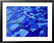 Blue-Glass Mosaic With Water Flowing Over Surface, Helsingborg, Skane, Sweden by Martin Llada� Limited Edition Print