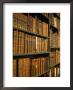 Bookshelves In Codrington Library, All Souls College, Oxford, England by Jon Davison Limited Edition Print