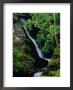 Waterfall Near Kylemore Abbey, County Mayo, Ireland by Gareth Mccormack Limited Edition Print