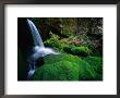 Rainforest Waterfall Walls Of Jerusalem National Park, Tasmania, Australia by Rob Blakers Limited Edition Pricing Art Print