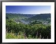 Cochem, Mosel Valley, Rheinland-Palatinate, Germany by Gavin Hellier Limited Edition Print