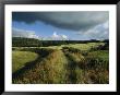 Fields Near Lindholm Hoje, The Largest Known Viking Burial Ground by Sisse Brimberg Limited Edition Print