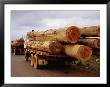 Logging Trucks On Road, Bolaven Plateau, Laos by Woods Wheatcroft Limited Edition Print