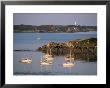 St. Mary's, Isles Of Scilly, United Kingdom by Adam Woolfitt Limited Edition Print