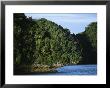 Rock Island With Trees In The Republic Of Palau by Tim Laman Limited Edition Print