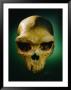 The Skull Of An Prehistoric Man by Kenneth Garrett Limited Edition Print