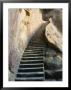 Rock Cut Steps On Stairway, White Cloud Scenic Area, Huang Shan, Anhui Province, China by Jochen Schlenker Limited Edition Print