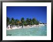 Isla Mujeres, Yucatan, Mexico, North America by Nelly Boyd Limited Edition Print