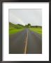 Back Road And Rainbow, Kauai, Hawaii, Usa by Terry Eggers Limited Edition Print