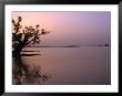 Dusk Over Lake Chad, Niger by Oliver Strewe Limited Edition Print