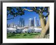Embarcadero Marina, San Diego, California, Usa by Ruth Tomlinson Limited Edition Print