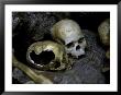 Skulls And Bone, Indonesia by Michael Brown Limited Edition Pricing Art Print
