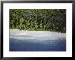 An Aerial View Of The Shoreline On One Of The Seychelles Islands by Bill Curtsinger Limited Edition Print