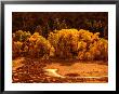 Pueblo Ruins In Frijole Canyon, Bandelier National Monument, New Mexico, Usa by Ralph Lee Hopkins Limited Edition Print