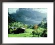 Bernese Oberland, Switzerland by Oxford Scientific Limited Edition Print