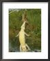 A Cuban Crocodile Leaps From Water To Grab A Hutia Set Out As Bait by Steve Winter Limited Edition Print
