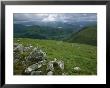 Lichen-Covered Rocks Dot The Mountain Landscape Near Ben Nevis by Joel Sartore Limited Edition Print