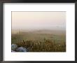 Misty Fields Divided By A Line Of Rocks And A Fence by Mattias Klum Limited Edition Pricing Art Print