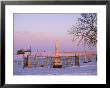 Pink Light On A Rural Cemetery, Snow, And A Bare Tree by Joel Sartore Limited Edition Print
