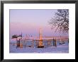 Pink Light On A Rural Cemetery, Snow, And A Bare Tree by Joel Sartore Limited Edition Pricing Art Print