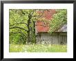 Spring Blossoms And Alpine House, Spodnja Trenta, Gorenjska, Slovenia by Walter Bibikow Limited Edition Pricing Art Print