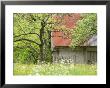 Spring Blossoms And Alpine House, Spodnja Trenta, Gorenjska, Slovenia by Walter Bibikow Limited Edition Print