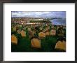 Whitby Cemetery Overlooking The Town And Surrounding Coastline, North York Moors Nat. Park, England by Grant Dixon Limited Edition Print