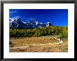 Hikers In Larch Valley, Banff, Canada by Rick Rudnicki Limited Edition Pricing Art Print