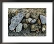 Rocks On A Sea Wall, Groton, Connecticut by Todd Gipstein Limited Edition Print