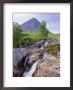 Beauchaille Etive, Glencoe (Glen Coe), Highlands Region, Scotland, Uk, Europe by Kathy Collins Limited Edition Print