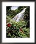 Waterfall, Shaw Park Botanical Gardens, Ocho Rios, Jamaica, West Indies, Caribbean, Central America by Brigitte Bott Limited Edition Print