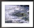 Terraces, Mammoth Hot Springs, Yellowstone National Park, Wyoming by G Richardson Limited Edition Print
