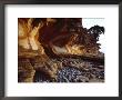 Painted Cliffs, Maria Island National Park, Maria Island, Tasmania, Australia by Holger Leue Limited Edition Print