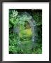 Mosaic Garden Mirror Placed On Wall October by Mark Bolton Limited Edition Print