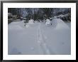 Snow-Covered Streets And Buried Cars From The Blizzard Of 96 by Stephen St. John Limited Edition Print