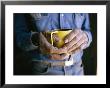 A Close View Of A Mans Weathered Hands by Jodi Cobb Limited Edition Pricing Art Print