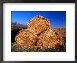 Three Hay Bales On Farm In Red River Valley, Alberta, Canada by Barnett Ross Limited Edition Print