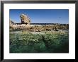 An Ocean Scene Of A Rocky Promontory With Seabirds And Seals by Ed George Limited Edition Print