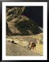 Two Men Rock Climbing On Half Dome, Yosemite, California by Jimmy Chin Limited Edition Pricing Art Print