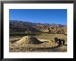 Boy Threshing With Oxen, Bamiyan Province, Afghanistan by Jane Sweeney Limited Edition Print