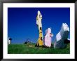 Carhenge, Alliance City, Alliance, United States Of America by Richard Cummins Limited Edition Print