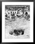 Couple Cuddling While Sitting In A Hole As Others Enjoy The Beach On The 4Th Of July by Ralph Crane Limited Edition Print