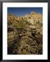 Desert Queen Ranch At Joshua Tree National Park, California by Phil Schermeister Limited Edition Print