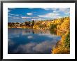 Autumn Colours, Lake Dunstan, Central Otago, New Zealand by David Wall Limited Edition Print