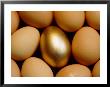 Golden Egg by Iain Sarjeant Limited Edition Pricing Art Print