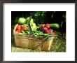 Fruit And Vegetables From The Garden, Kent by David Tipling Limited Edition Print