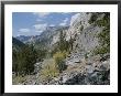 A View Through Goddard Canyon, Along The John Muir Trail by Rich Reid Limited Edition Pricing Art Print