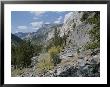 A View Through Goddard Canyon, Along The John Muir Trail by Rich Reid Limited Edition Print